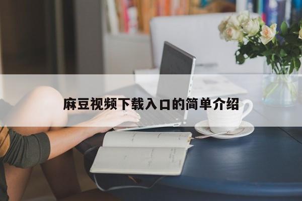 麻豆视频下载入口的简单介绍