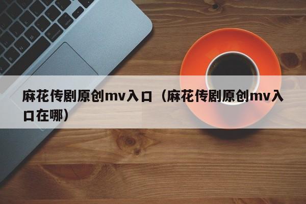 麻花传剧原创mv入口（麻花传剧原创mv入口在哪）