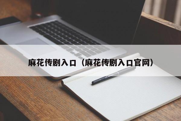 麻花传剧入口（麻花传剧入口官网）