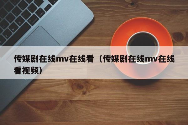 传媒剧在线mv在线看（传媒剧在线mv在线看视频）